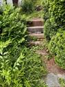 Blick in den Garten - 