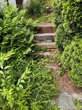 Blick in den Garten - 