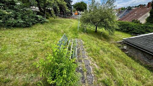 Blick in den Garten - 