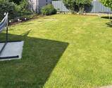 Garten III.jpg - 