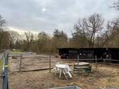 Pferdestall Paddock - 