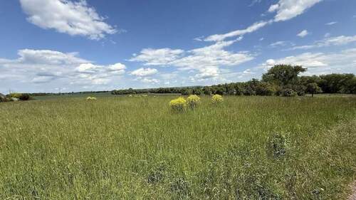 2025-05-26 12.59.52 - 