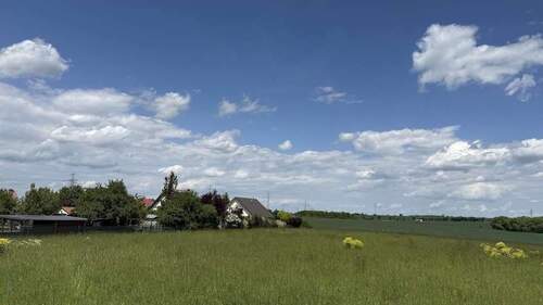 2025-05-26 13.02.21 - 