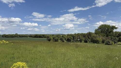 2025-05-26 13.02.30 - 