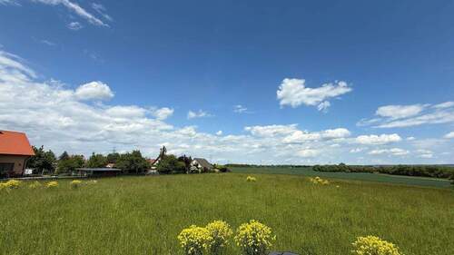 IMG_0678 - Grundstück in Arnstadt zum Kaufen