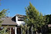EFH: HR-Blick zur Dachterrasse - 