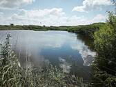 Blick auf den Teich - 