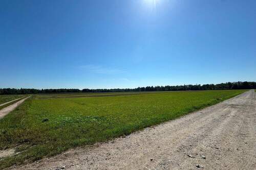 Titelbild - Hochwertiger Wasserkies in Reichweite - jetzt auf die Zukunft setzen