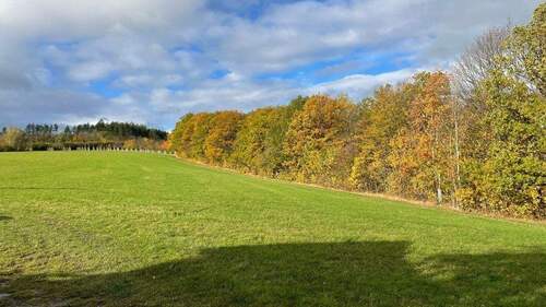 Blick vom Grundstück - 2 Zimmer Mehrfamilienhaus, Wohnhaus zum Kaufen in Freital