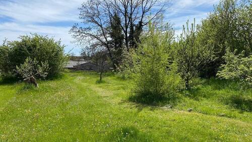 Garten - 