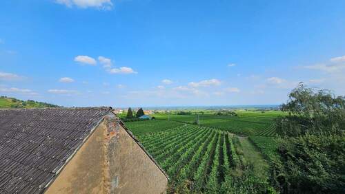 Blick in Rheinebene (7).jpg - 