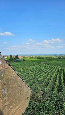 Blick in Rheinebene (9).jpg - 