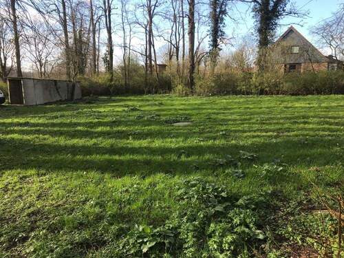 Blick in den Garten - 6 Zimmer Einfamilienhaus zum Kaufen in Gleschendorf