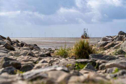 Blick auf die Nordsee - 