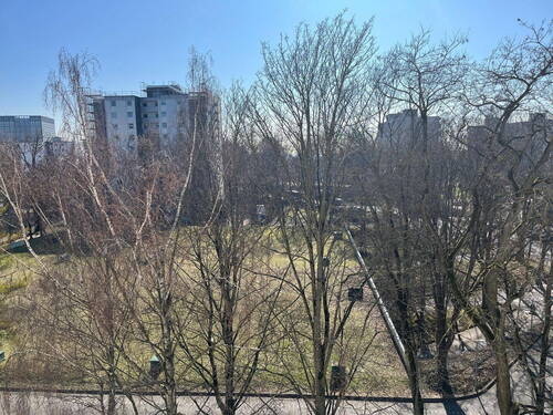 Blick vom Balkon - 