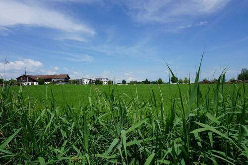 Blick auf die Anlage - 