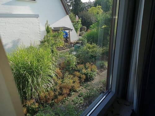 Blick aus Kinderzimmer 2 - 