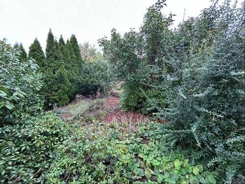 Garten - Einfamilienhaus mit 138,00 m² in Leutershausen zum Kaufen