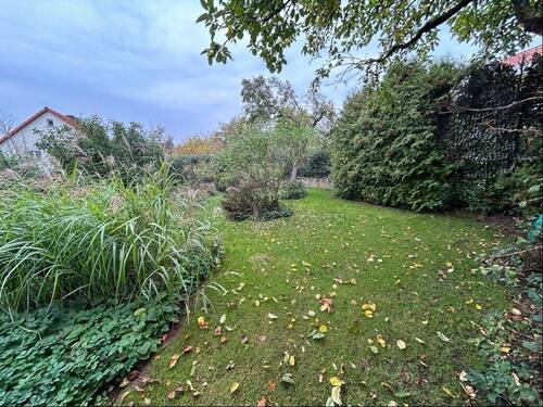 Rasenfläche im Garten - 