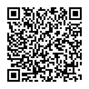 QR-Code - 