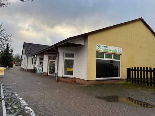 Geschäft - 2 Zimmer Gewerbeobjekt (Büro, Produktion, Verkauf) in Eggesin