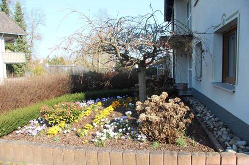 Bild 2 - 7 Zimmer Mehrfamilienhaus, Wohnhaus zum Kaufen in Schlitz