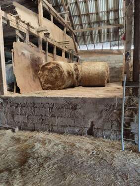 IMG20230626121311.jpg - 