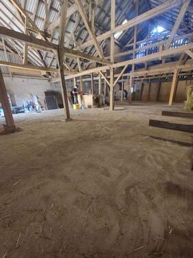 IMG20230624101421.jpg - 