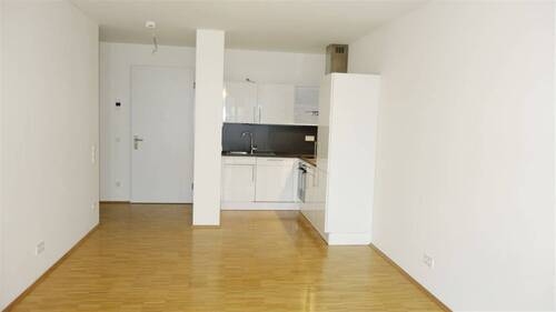 Wohnküche / Terrasse - 