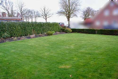 702 Garten vorne 1 - 