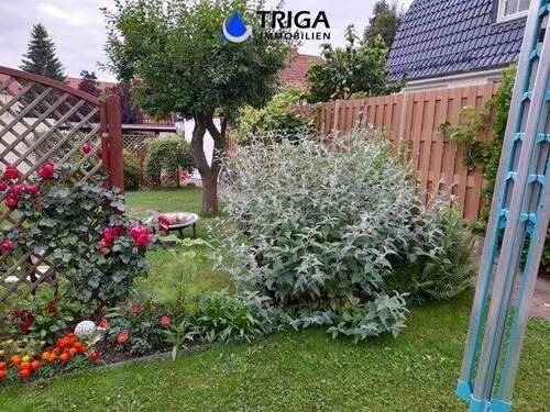 Gartenblick - 