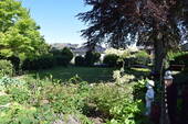 Blick in den schönen Garten - 6 Zimmer Einfamilienhaus zum Kaufen in Weyhe