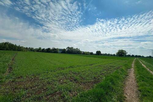 Blick auf das Grundstück - Grundstück in Bergkirchen zum Kaufen