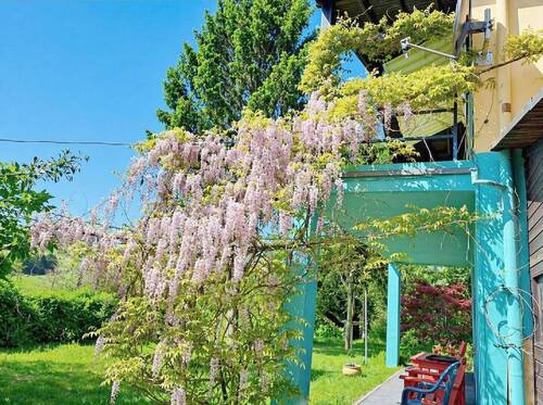 Garten - 