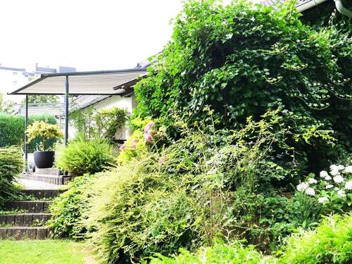 Blick zur Terrasse - 