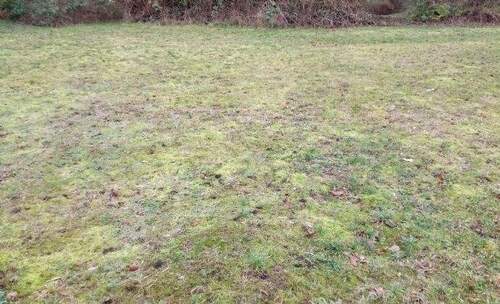 Grundstück Musterbild - Grundstück in Lage-Waddenhausen für Ihr massives Traumhaus von CONCEPT HAUS