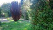 Seitenansicht - Grundstück in Waldbröl zum Kaufen