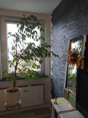 Zimmer Flur hinten eingerichte - 