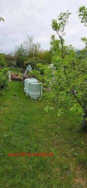 20260505_102146.jpg - 