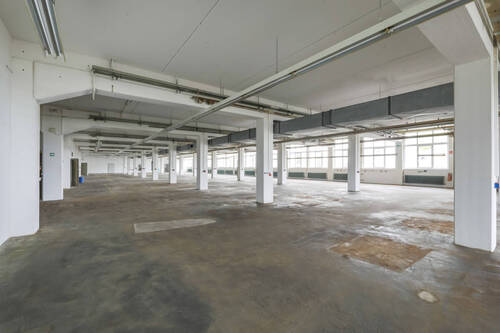 Gewerbefläche / Halle EG - 