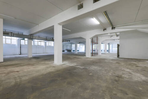 Gewerbefläche / Halle EG - 