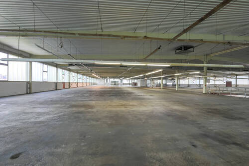 Gewerbefläche / Halle OG - 