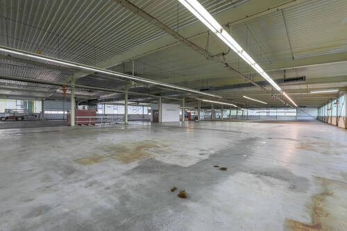 Gewerbefläche / Halle OG - 