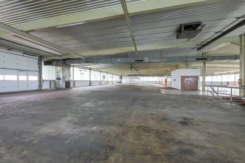Gewerbefläche / Halle OG - 