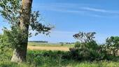 Bild 4 - Grundstück in Ribnitz-Damgarten OT Langendamm zum Kaufen