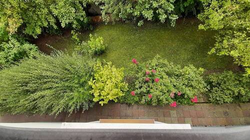 Gartenanteil von oben - 