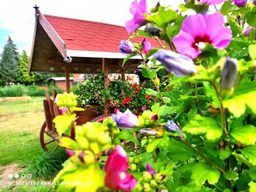 Garten - Teilansicht (4) - 