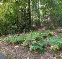 Freiraum und Platz; großes Grundstück in beschaulicher Stadtrandlage - Gummersbach - Wasserfuhr