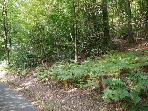 Ansicht - Grundstück zum Kaufen in Gummersbach - Wasserfuhr