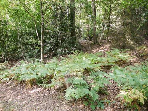 Einsicht - Grundstück in Gummersbach - Wasserfuhr
